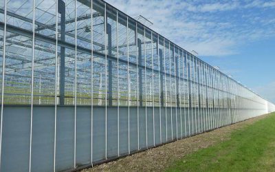 TFT Greenhouse Design